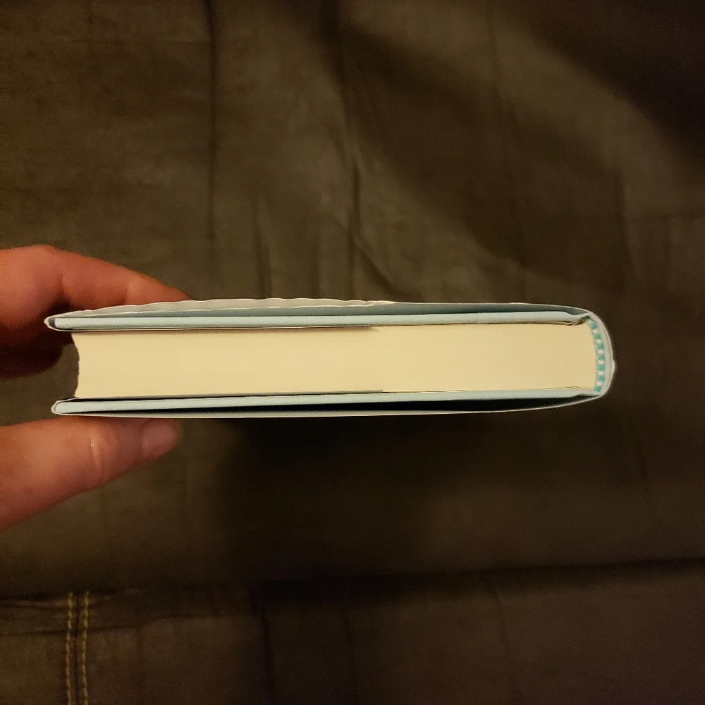 The reunion‎ A Novel by Guillaume Musso Hardbook